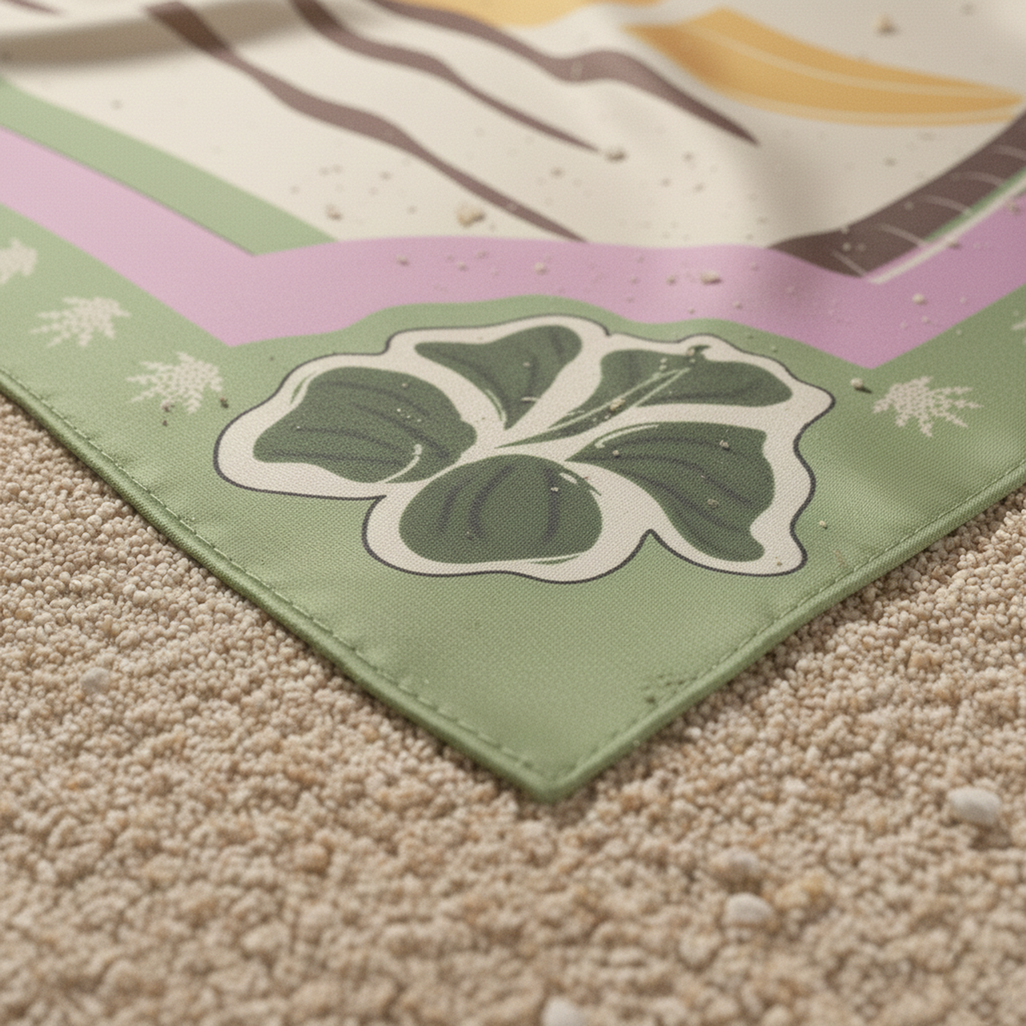 RITUAL DE SIEMBRA PAREO