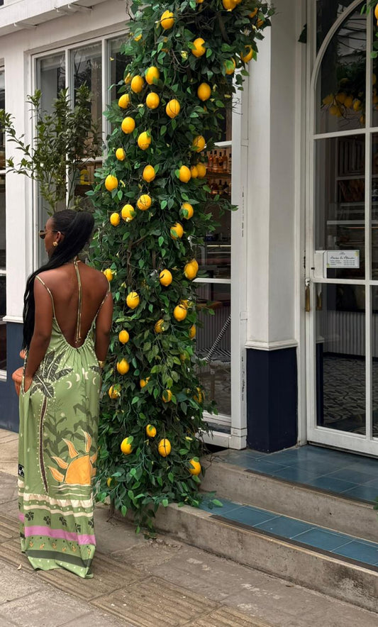 Territorio vivo Vestido