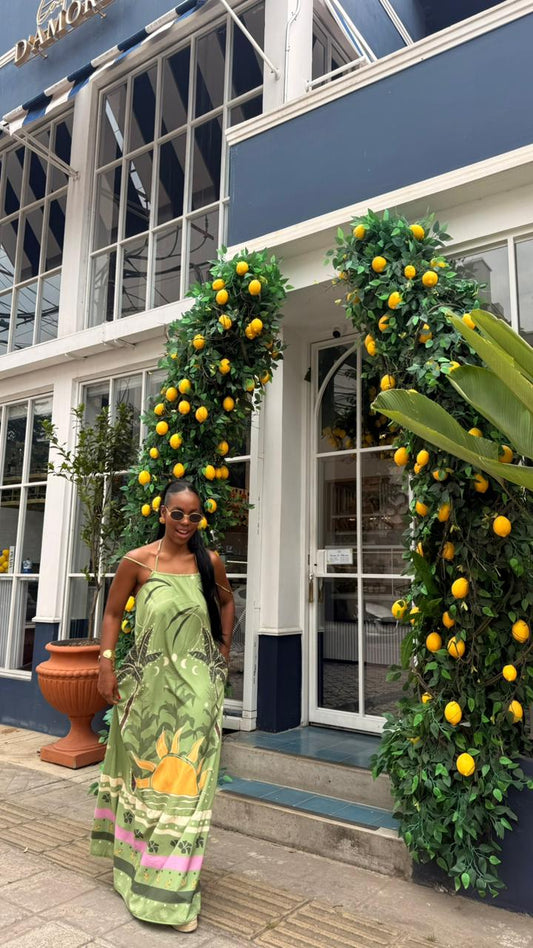 Territorio vivo Vestido